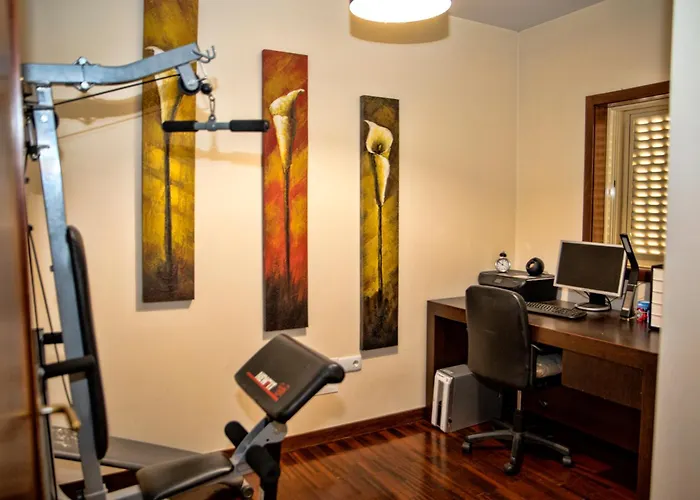 Villa Sta Luzia Douro *